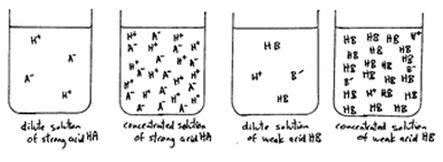 Strength vs. Concentration - The Basics of acids & Bases diagram strong acid solution 